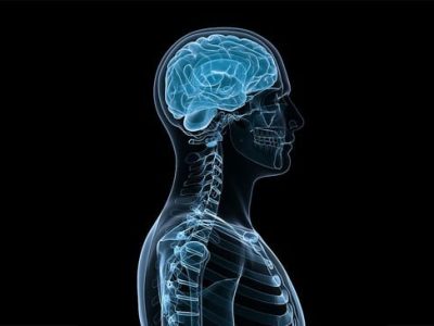 visite specialistiche neurochirurgia
