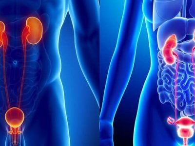 visite specialistiche urologia