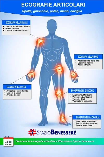 Ecografie Articolari: Infografica contenente le principali ecografie articolari
